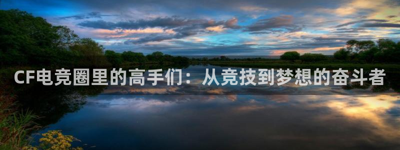 雷火电竞LH官网入口：CF电竞圈里的高手们：从竞技到梦想的奋斗者