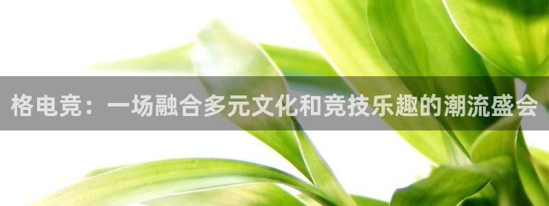 lh1153雷火电竞官网：格电竞：一场融合多元文化和竞技乐趣的潮流盛会