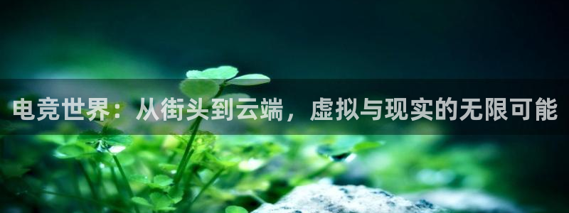 雷火电竞热门赛事有哪些：电竞世界：从街头到云端，虚拟与现实的无限可能