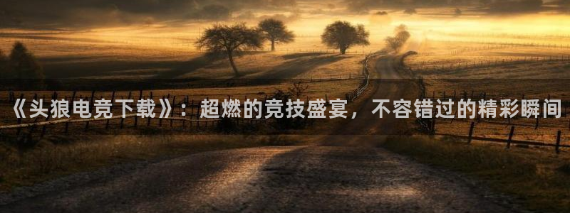 雷火电竞体育官网：《头狼电竞下载》：超燃的竞技盛宴，不容错过的精彩瞬间