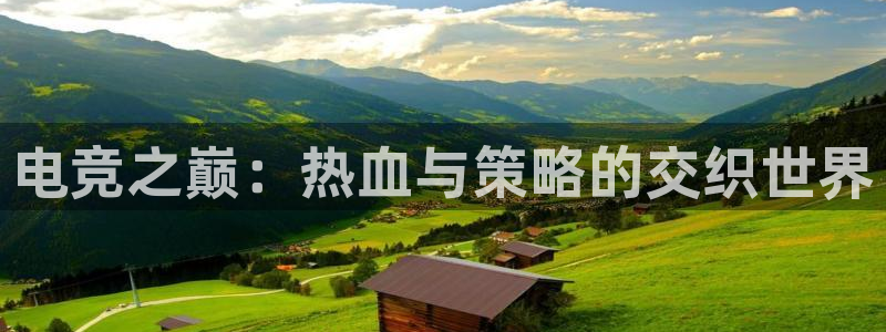 雷火电竞充值：电竞之巅：热血与策略的交织世界