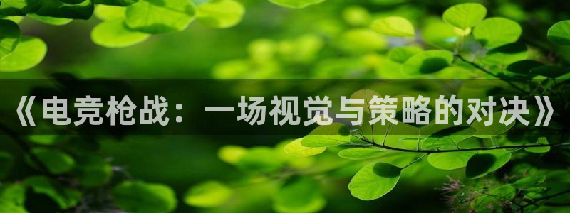 雷火电竞官网app：《电竞枪战：一场视觉与策略的对决》