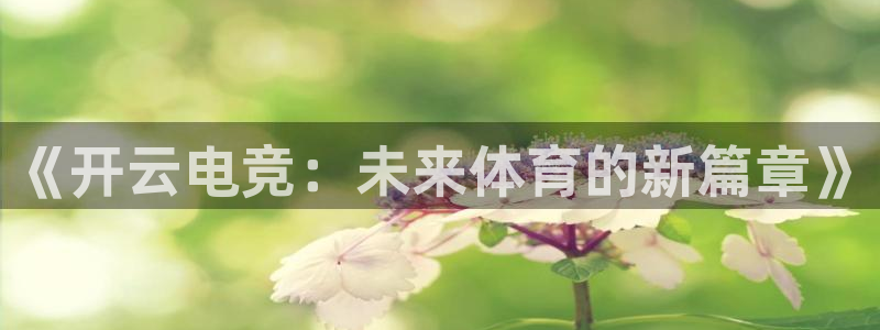 雷火电竞靠谱吗：《开云电竞：未来体育的新篇章》