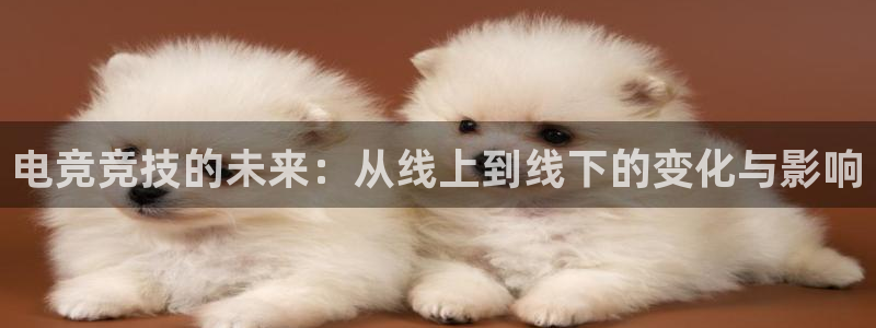 雷火电竞亚洲官网