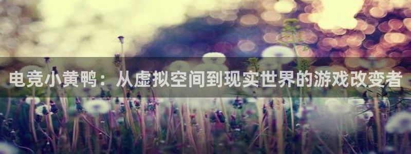 雷火电竞app下载