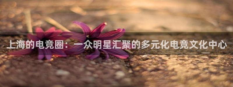 上海的电竞圈：一众明星汇聚的多元化电竞文化中心