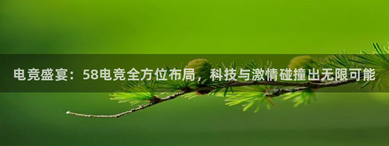 雷火电竞官网入口：电竞盛宴：58电竞全方位布局，科技与激情碰撞出无限可能