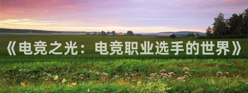 雷火电竞体育：《电竞之光：电竞职业选手的世界》