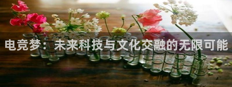 雷火电竞网：电竞梦：未来科技与文化交融的无限可能