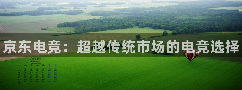 lh1153雷火电竞官网：京东电竞：超越传统市场的电竞选择