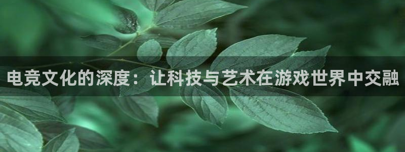 雷火电竞官网首页：电竞文化的深度：让科技与艺术在游戏世界中交融