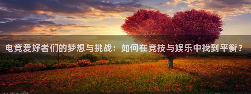 雷火电竞下载官网：电竞爱好者们的梦想与挑战：如何在竞技与娱乐中找到平衡？