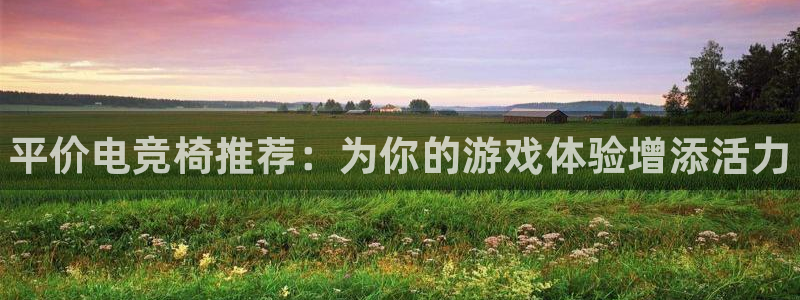 lh1153雷火电竞入口：平价电竞椅推荐：为你的游戏体验增添活力