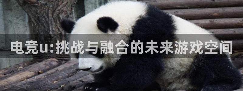 雷火电竞官网app：电竞u:挑战与融合的未来游戏空间