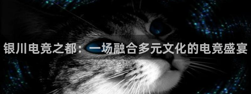 雷火电竞体育平台：银川电竞之都：一场融合多元文化的电竞盛宴