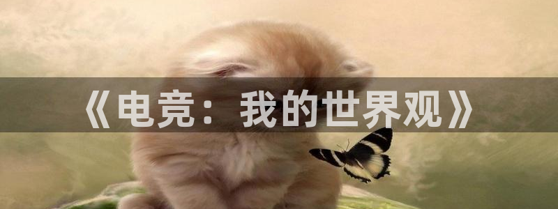 雷火电竞直播：《电竞：我的世界观》