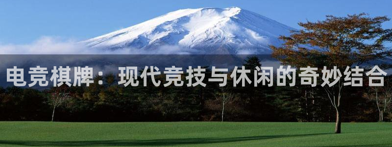 雷火电竞贴吧：电竞棋牌：现代竞技与休闲的奇妙结合