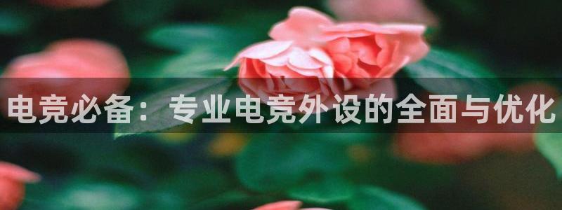 雷火电竞平台：电竞必备：专业电竞外设的全面与优化