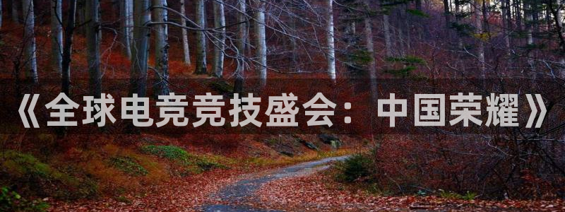 雷火电竞体育官网：《全球电竞竞技盛会：中国荣耀》