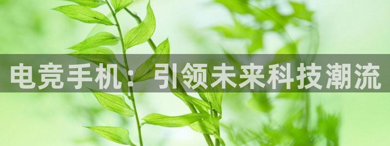 雷火电竞亚洲官网：电竞手机：引领未来科技潮流
