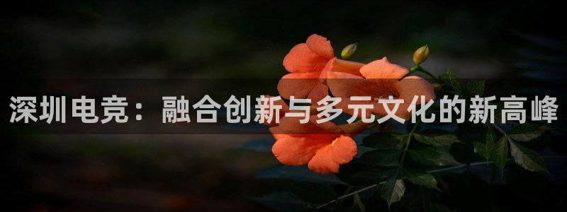 雷火电竞官网app下载：深圳电竞：融合创新与多元文化的新高峰