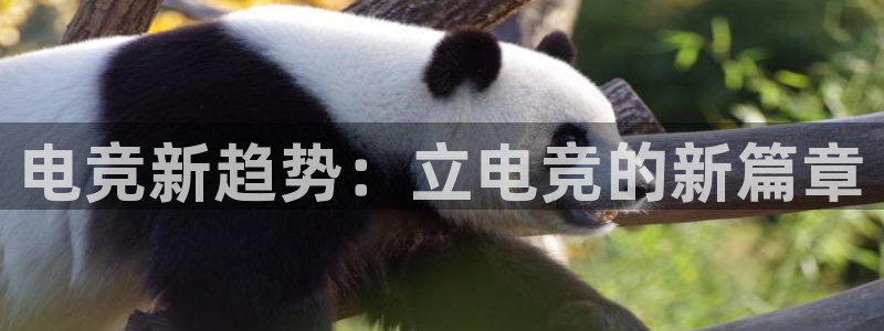 雷火电竞app：电竞新趋势：立电竞的新篇章