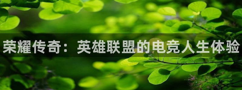 雷火电竞官网登录：荣耀传奇：英雄联盟的电竞人生体验