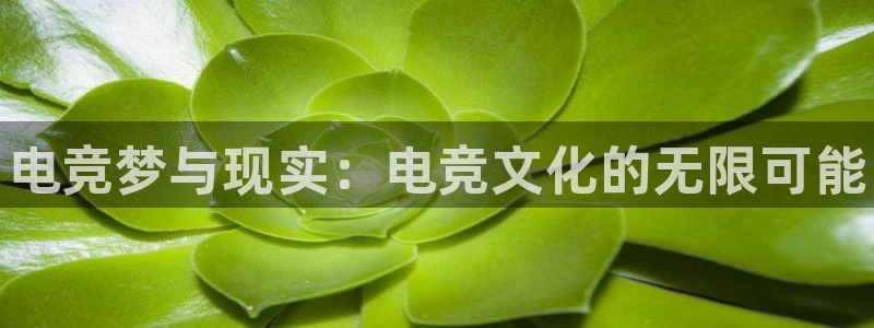 雷火电竞,亚洲电竞先驱：电竞梦与现实：电竞文化的无限可能