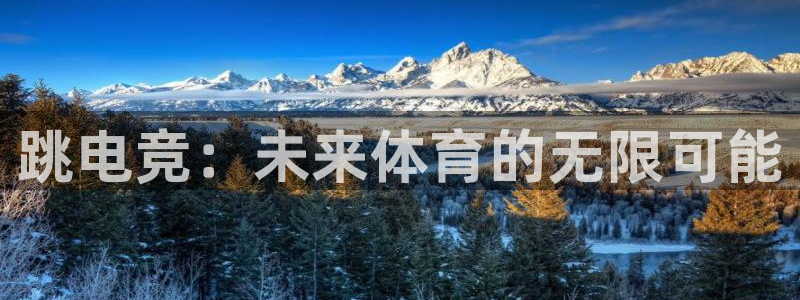 雷火电竞官网：跳电竞：未来体育的无限可能