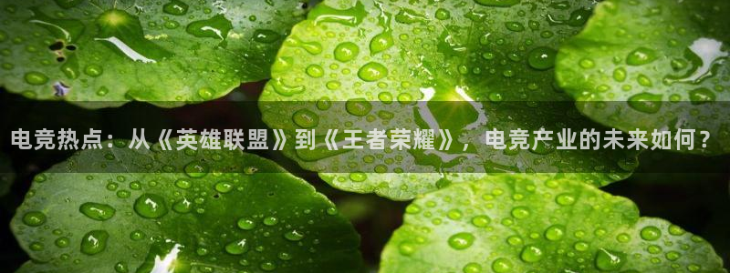 雷火电竞网站：电竞热点：从《英雄联盟》到《王者荣耀》，电竞产业的未来如何？