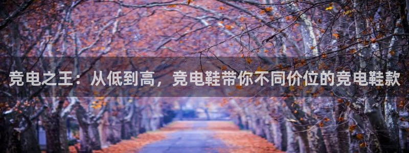 雷火电竞官网：竞电之王：从低到高，竞电鞋带你不同价位的竞电鞋款