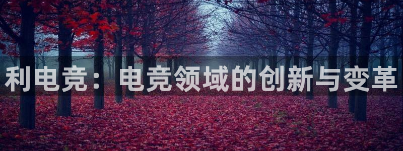 雷火电竞合法吗：利电竞：电竞领域的创新与变革