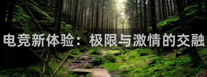 雷火电竞网页版登录入口：电竞新体验：极限与激情的交融
