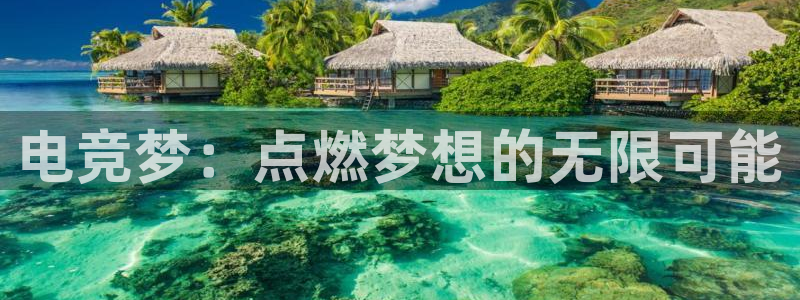 雷火电竞下载：电竞梦：点燃梦想的无限可能