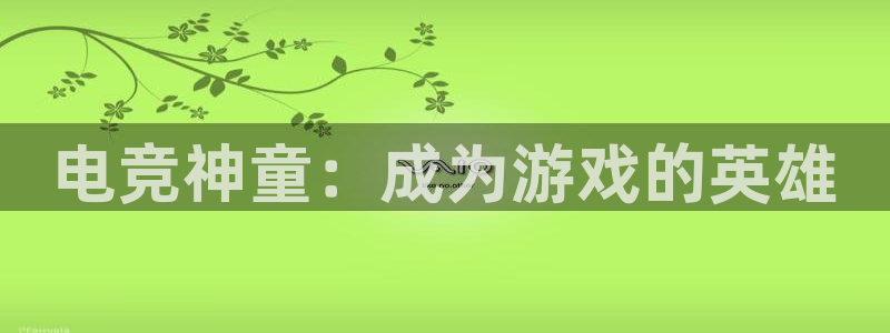 雷火电竞网址：电竞神童：成为游戏的英雄