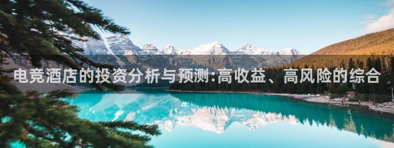 雷火电竞app下载：电竞酒店的投资分析与预测:高收益、高风险的综合
