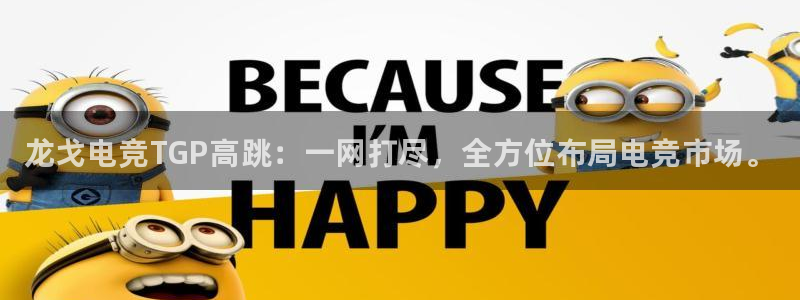 雷火电竞审核多长时间：龙戈电竞TGP高跳：一网打尽，全方位布局电竞市场。