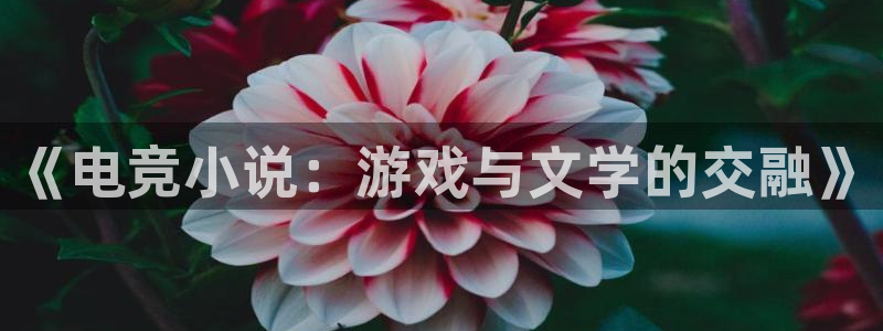 雷火电竞官网app：《电竞小说：游戏与文学的交融》