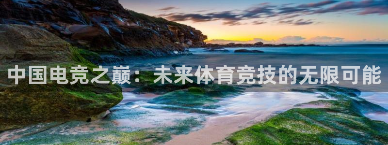雷火电竞直播：中国电竞之巅：未来体育竞技的无限可能