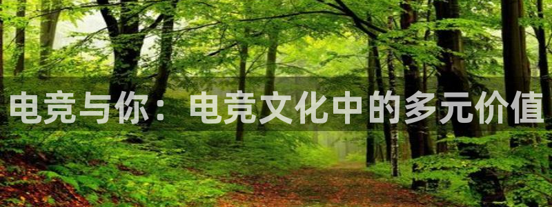 雷火电竞登陆：电竞与你：电竞文化中的多元价值