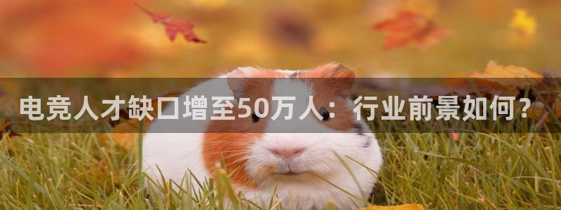 雷火电竞首页：电竞人才缺口增至50万人：行业前景如何？