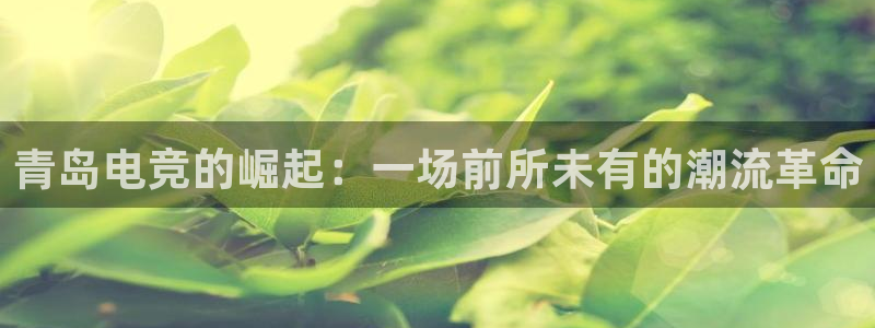 e8125雷火电竞：青岛电竞的崛起：一场前所未有的潮流革命