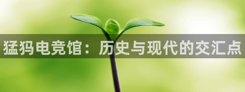 雷火电竞平台入口：猛犸电竞馆：历史与现代的交汇点