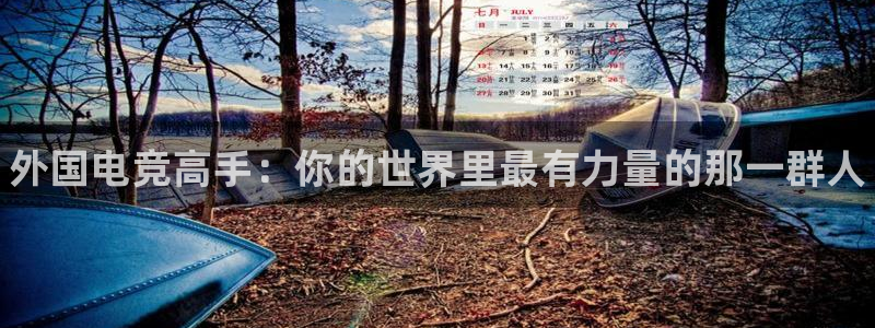 雷火电竞赏金赛赚钱版：外国电竞高手：你的世界里最有力量的那一群人