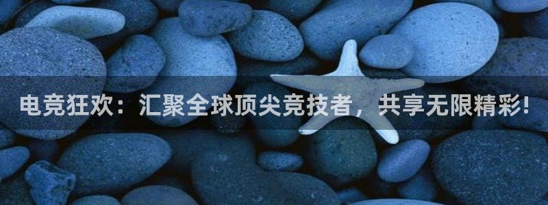 雷火电竞登陆：电竞狂欢：汇聚全球顶尖竞技者，共享无限精彩!