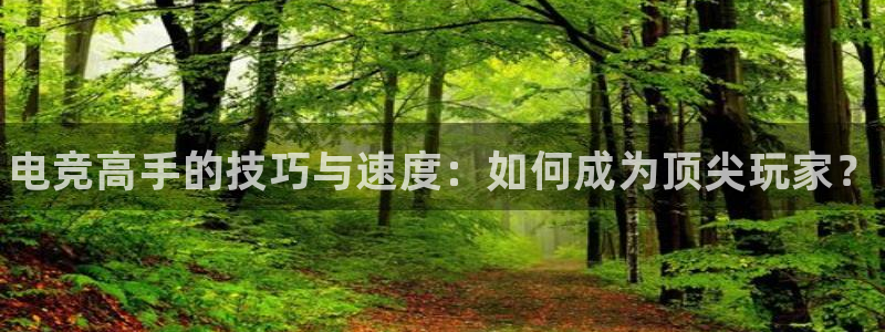 雷火电竞赛事平台：电竞高手的技巧与速度：如何成为顶尖玩家？