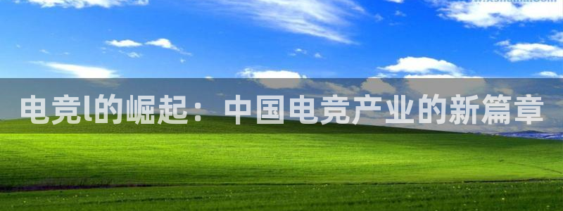 雷火电竞热门赛事有哪些：电竞l的崛起：中国电竞产业的新篇章