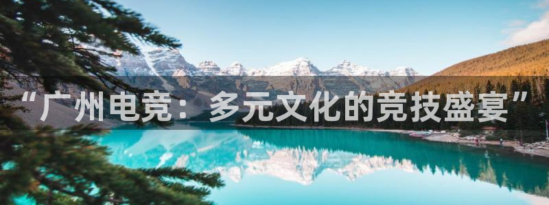 雷火电竞在线：“广州电竞：多元文化的竞技盛宴”