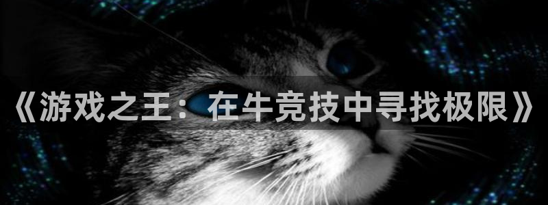 lh1153雷火电竞官网：《游戏之王：在牛竞技中寻找极限》