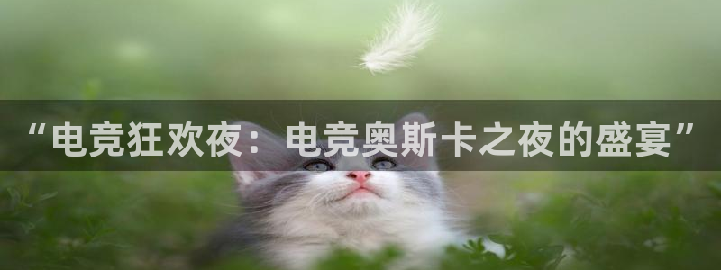 雷火电竞登陆：“电竞狂欢夜：电竞奥斯卡之夜的盛宴”